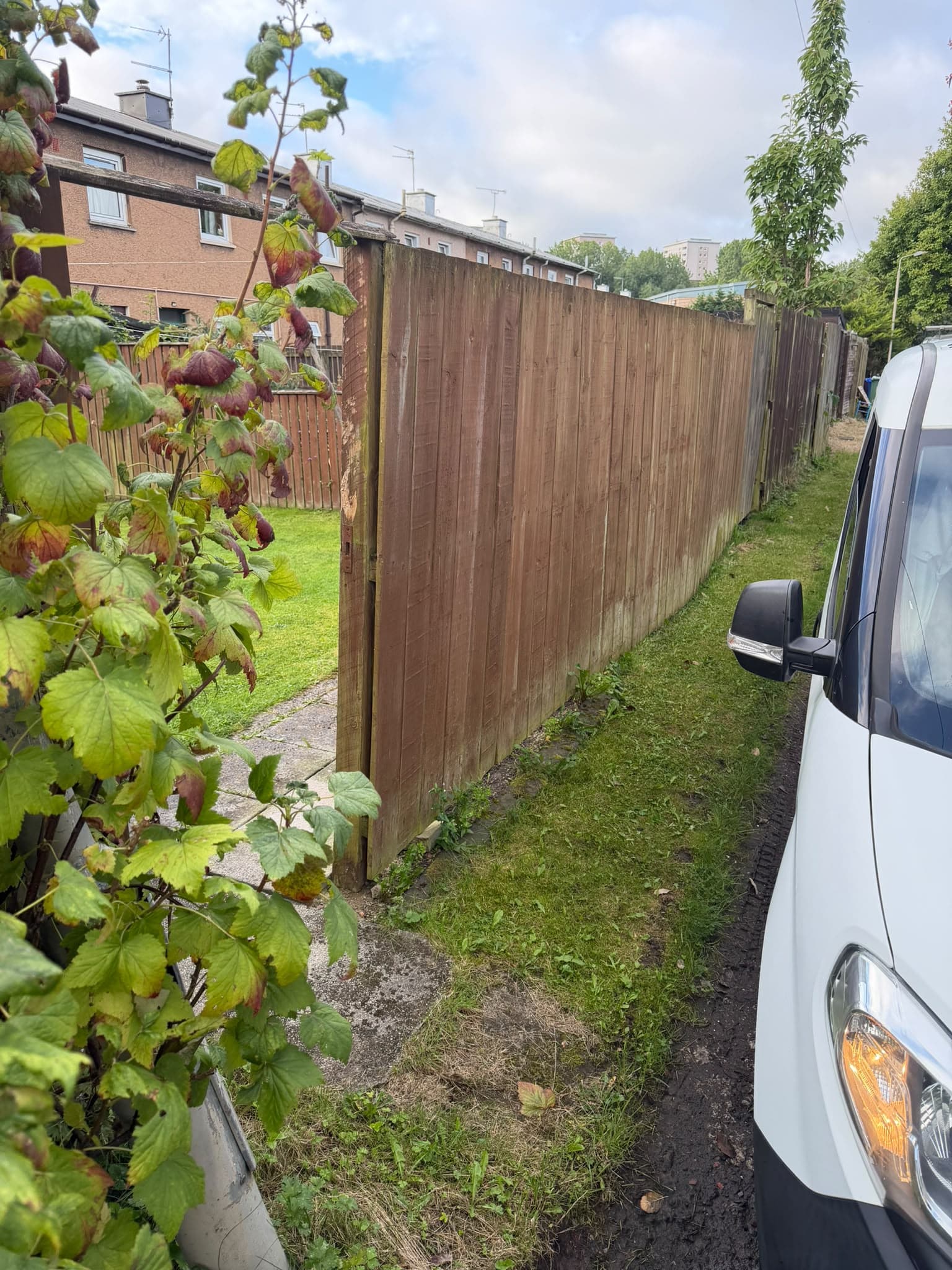 The old Auldhouse boundary fence seen along the lane, weathered grey with a section missing near the gate post