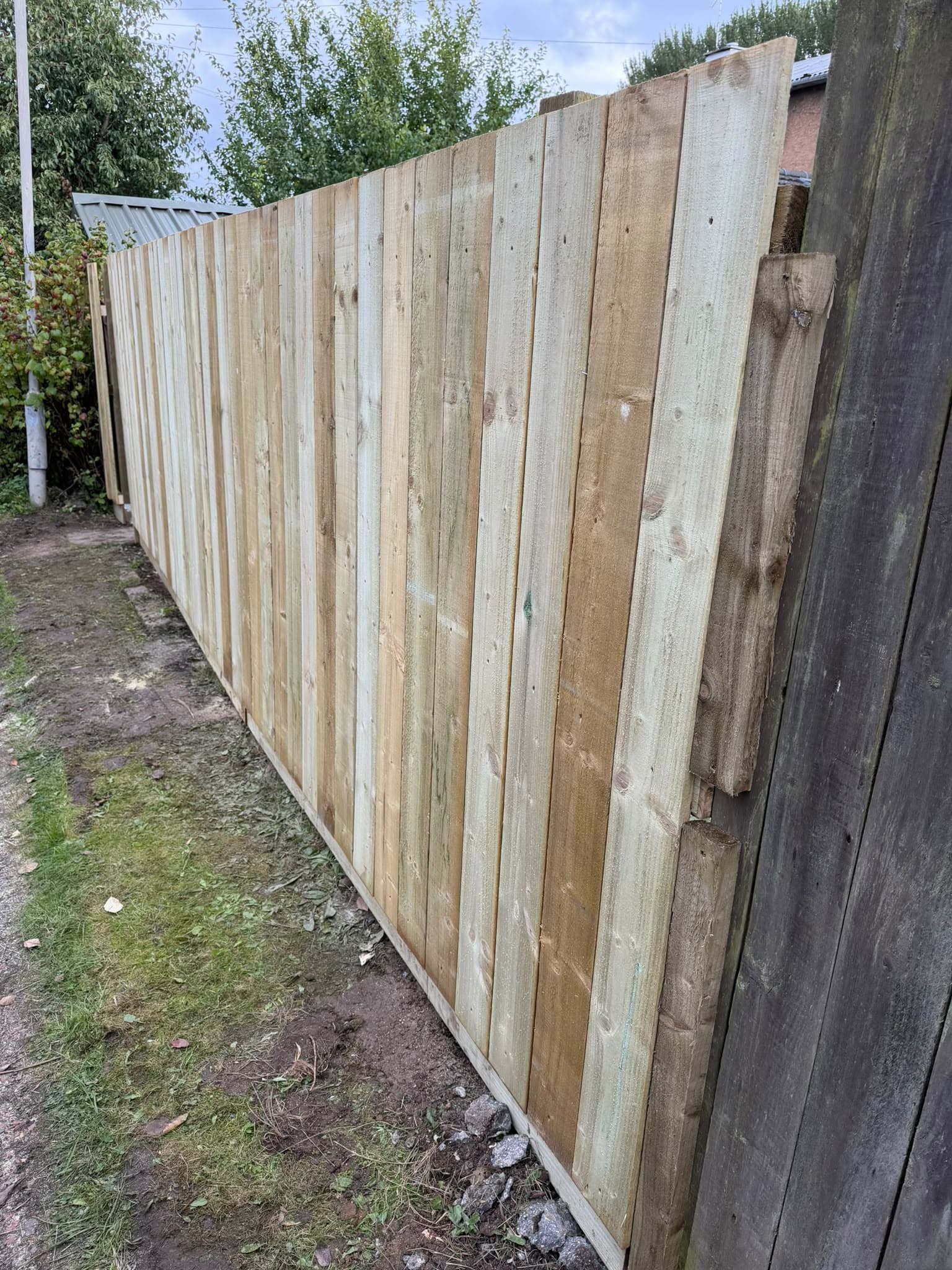 The new Auldhouse fence viewed along its length, showing the even top line and the junction with the neighbouring old fence