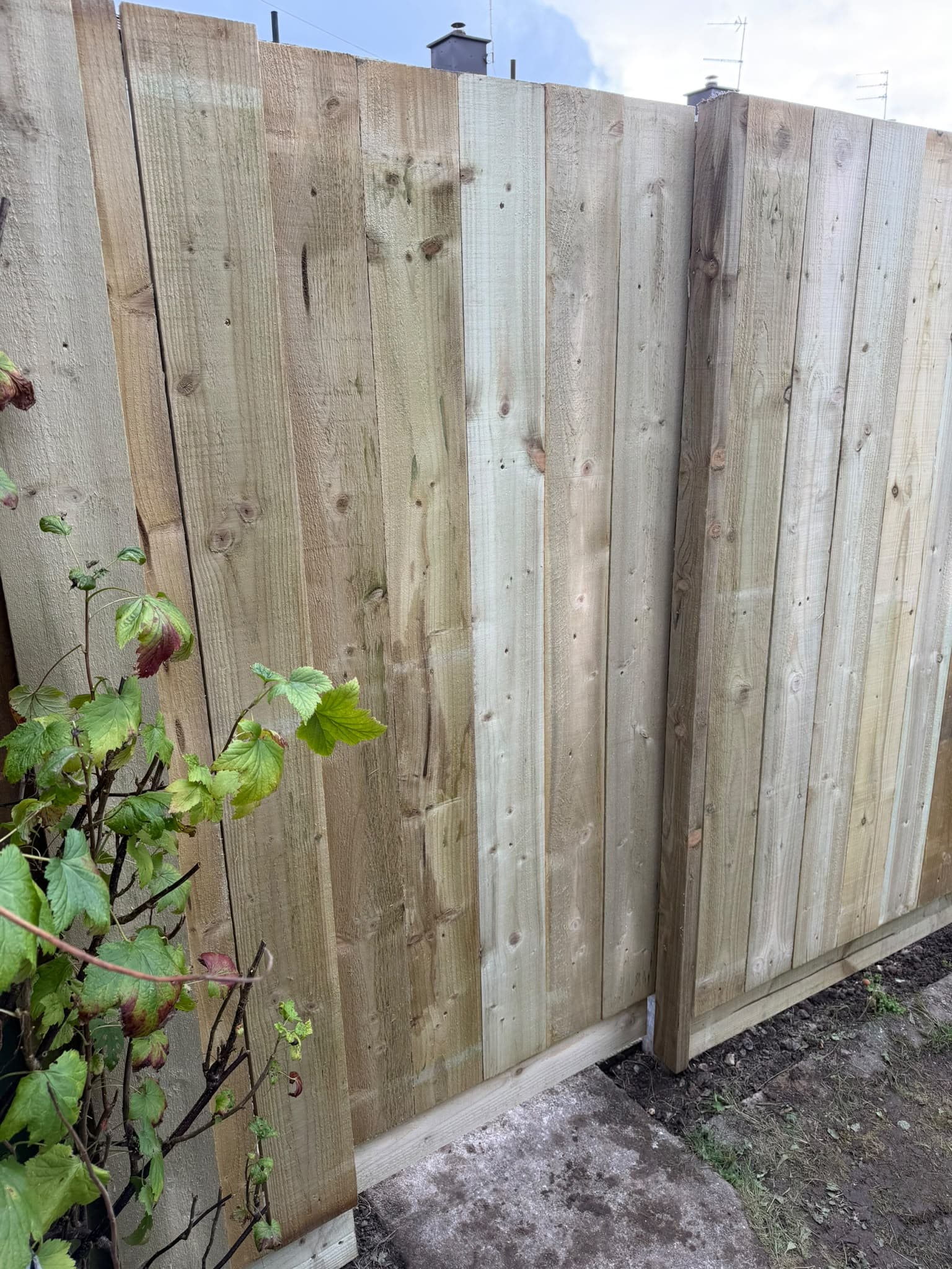 Close view of the new pressure-treated close-board cladding and post from inside the rear garden