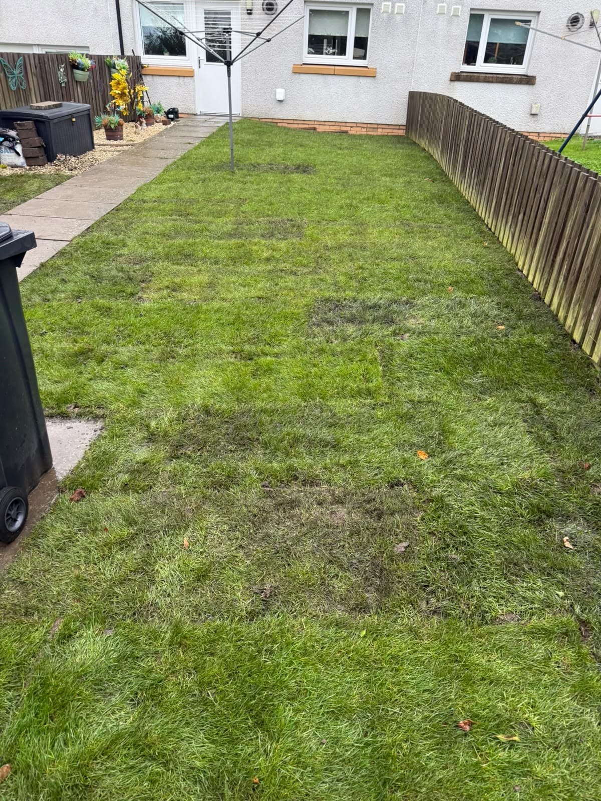 Finished Chapelhall lawn looking towards the house, new turf running from the path to the fence