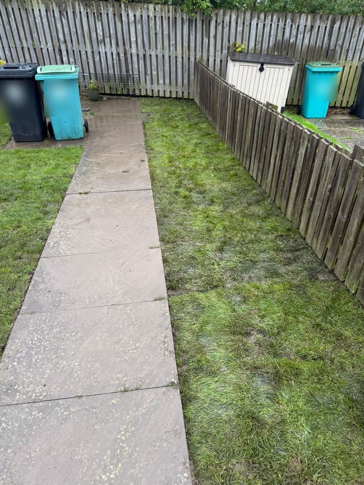 The smaller strip of the Chapelhall garden returfed alongside the slab path and fence